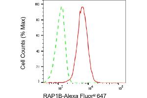 Flow cytometric analysis of RAP1B expression in HepG2 cells using RAP1B antibody (ABIN7800134), 1:2,000). (Rekombinanter RAP1B Antikörper)