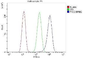 Flow Cytometry analysis of A549 cells using anti-PKD2 antibody (ABIN7602539).