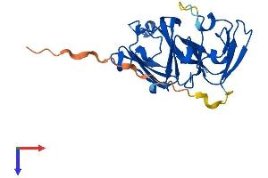 CRYBA1 Protein (AA 1-215) (His tag)