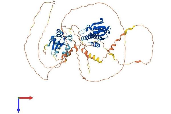 DUSP8 Protein (AA 1-625) (His tag)