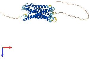 Apelin Receptor Protein (APLNR) (AA 1-377) (His tag)