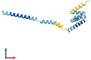Protein Structure (PS) image for Translocase of Outer Mitochondrial Membrane 20 Like (TOMM20L) (AA 1-152) protein (His tag) (ABIN7544468)