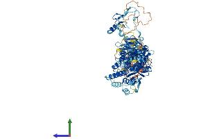 AlphaFold protein structure predicition of Mouse Recombinant Mios Protein, UniprotID Q8VE19
