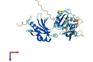 DND1 Protein (AA 1-352) (His tag)