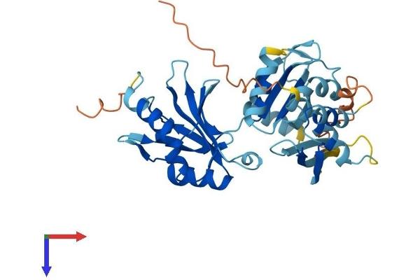 DND1 Protein (AA 1-352) (His tag)