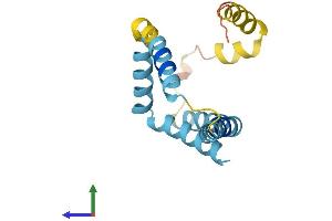 AlphaFold protein structure predicition of Mouse Recombinant Fundc2 Protein, UniprotID Q9D6K8