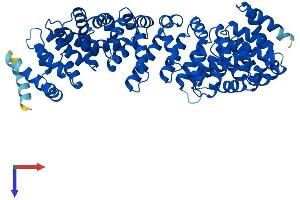 RAP1GDS1 Protein (AA 1-607) (His tag)