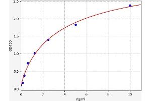 Typical standard curve (STX1A ELISA Kit)