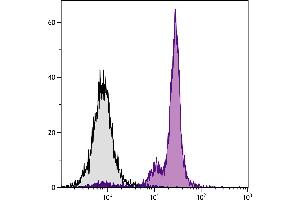 BALB/c mouse bone marrow cells were stained with Mouse Anti-Mouse CD45. (CD45.2 Antikörper  (Biotin))