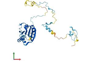 Protein Structure (PS) image for Cytokine Induced Apoptosis Inhibitor 1 (CIAPIN1) (AA 1-309) protein (His tag) (ABIN7559967)
