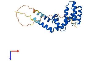 RGS16 Protein (AA 1-202) (His tag)