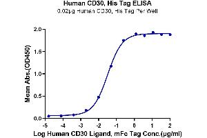 TNFRSF8 Protein (AA 19-379) (His-Avi Tag)