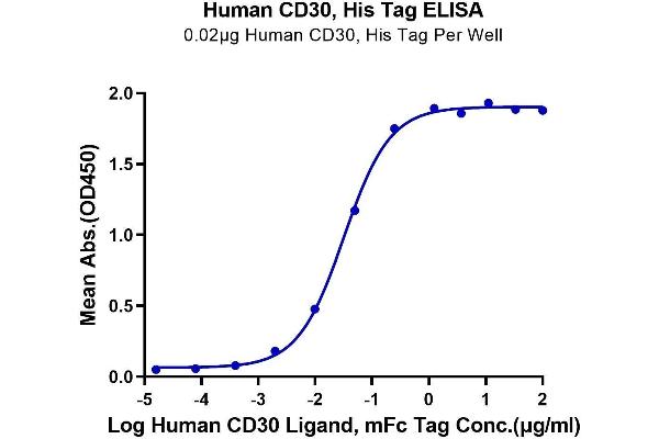 TNFRSF8 Protein (AA 19-379) (His-Avi Tag)