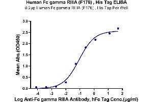 ELISA image for Fc Fragment of IgG, Low Affinity IIIa, Receptor (CD16a) (FCGR3A) (AA 17-208) protein (His-Avi Tag) (ABIN7274281)