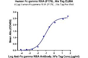 Immobilized Human Fc gamma RIIIA (F176) , His Tag at 2 μg/mL (100 μL/well) on the plate. (FCGR3A Protein (AA 17-208) (His-Avi Tag))