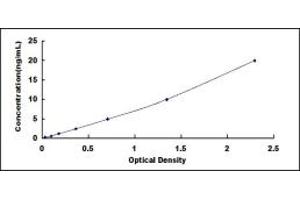 Typical standard curve (PAX9 ELISA Kit)