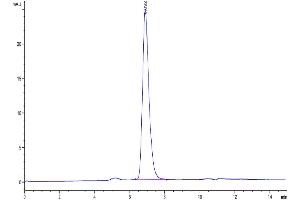 Size-exclusion chromatography-High Pressure Liquid Chromatography (SEC-HPLC) image for Receptor Tyrosine Kinase-Like Orphan Receptor 1 (ROR1) (AA 30-403) protein (His-Avi Tag,Biotin) (ABIN7275533)