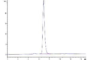 The purity of Biotinylated Human/Cynomolgus/Rhesus macaque ROR1 is greater than 95 % as determined by SEC-HPLC.