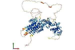 Protein Structure (PS) image for Bardet-Biedl Syndrome 12 (BBS12) (AA 1-708) protein (His tag) (ABIN7557534)