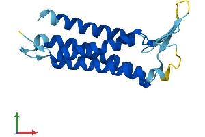 AlphaFold protein structure predicition of Human Recombinant PMP22 Protein, UniprotID Q01453