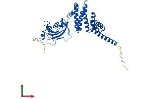 AlphaFold protein structure predicition of Human Recombinant FKBP6 Protein, UniprotID O75344