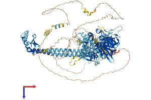 NEMF Protein (AA 1-1076) (His tag)