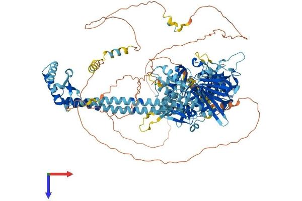 NEMF Protein (AA 1-1076) (His tag)