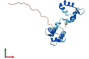 Protein Structure (PS) image for Myosin Light Chain 7, Regulatory (MYL7) (AA 1-175) protein (His tag) (ABIN7549398)