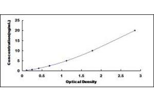 Typical standard curve (CC2D1A ELISA Kit)