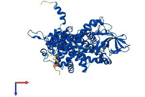 Acox2 Protein (AA 1-681) (His tag)