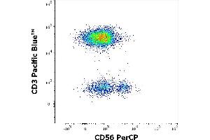 Flow cytometry multicolor surface staining of human lymphocytes stained using anti-human CD56 (LT56) PerCP antibody (10 μL reagent / 100 μL of peripheral whole blood) and anti-human CD3 (UCHT1) Pacific Blue antibody (4 μL reagent / 100 μL of peripheral whole blood). (CD56 Antikörper  (PerCP))