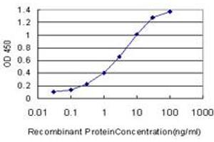 Detection limit for recombinant GST tagged FATE1 is approximately 0. (FATE1 Antikörper  (AA 2-100))