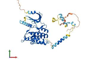 Protein Structure (PS) image for phosphorylase Kinase, gamma 2 (Testis) (PHKG2) (AA 1-406) protein (His tag) (ABIN7550753)