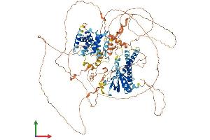 AlphaFold protein structure predicition of Human Recombinant PSD Protein, UniprotID A5PKW4