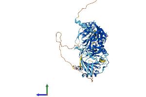 AlphaFold protein structure predicition of Human Recombinant ALKBH8 Protein, UniprotID Q96BT7