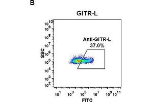 Flow cytometry data of serially titrated Rabbit anti-GITR-L monoclonal antibody (clone: DM53) on H929 cells. (Rekombinanter TNFRSF18 Antikörper  (AA 50-177))