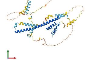 Protein Structure (PS) image for Fasciculation and Elongation Protein zeta 1 (Zygin I) (FEZ1) (AA 1-392) protein (His tag) (ABIN7559449)