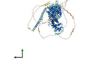 Protein Structure (PS) image for Diaphanous Homolog 3 (Drosophila) (DIAPH3) (AA 1-1171) protein (His tag) (ABIN7565287)