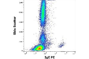 Flow cytometry surface staining pattern of human peripheral whole blood stained using anti-human IgE (4H10) PE antibody (concentration in sample 3 μg/mL). (IgE Antikörper  (PE))