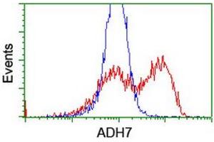 HEK293T cells transfected with either RC224304 overexpress plasmid (Red) or empty vector control plasmid (Blue) were immunostained by anti-ADH7 antibody (ABIN2455872), and then analyzed by flow cytometry. (ADH7 Antikörper)