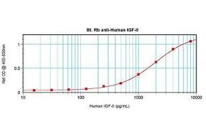 Image no. 1 for anti-Insulin-Like Growth Factor 2 (IGF2) antibody (Biotin) (ABIN465043) (IGF2 Antikörper  (Biotin))