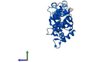 Protein Structure (PS) image for DCN1, Defective in Cullin Neddylation 1, Domain Containing 2 (DCUN1D2) (AA 1-259) protein (His tag) (ABIN7546966)