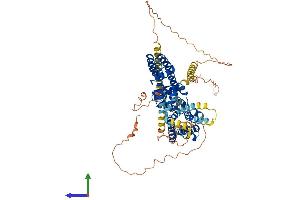 Protein Structure (PS) image for Potassium Voltage-Gated Channel, Shaker-Related Subfamily, Member 4 (KCNA4) (AA 1-653) protein (His tag) (ABIN7554233)