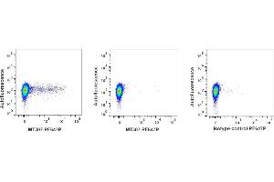 Detection of IFN-γ by flow cytometry in viable bovine PBMC. (Interferon gamma Antikörper  (PromoFluor 647 Premium))