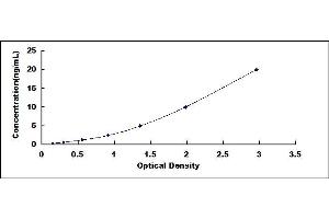 Typical standard curve (GRIN2B ELISA Kit)