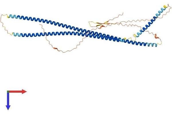 Keratin 25 Protein (KRT25) (AA 1-450) (His tag)