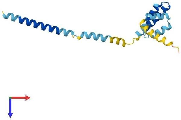 TOMM20L Protein (AA 1-152) (His tag)