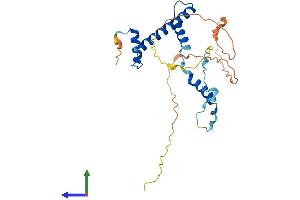 Protein Structure (PS) image for RNA Polymerase II TBP-Associated Factor Subunit G (TAF9) (AA 1-264) protein (His tag) (ABIN7544321)