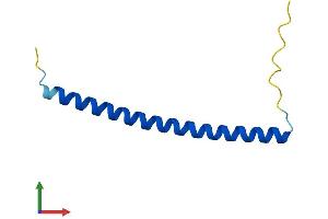 Protein Structure (PS) image for Heat Shock Factor Binding Protein 1 (HSBP1) (AA 1-76) protein (Fc Tag) (ABIN7560592)