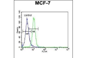 Flow cytometric analysis of MCF-7 cells (right histogram) compared to a negative control cell (left histogram). (PSG7 Antikörper  (C-Term))